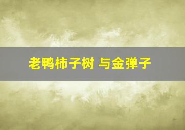 老鸭柿子树 与金弹子